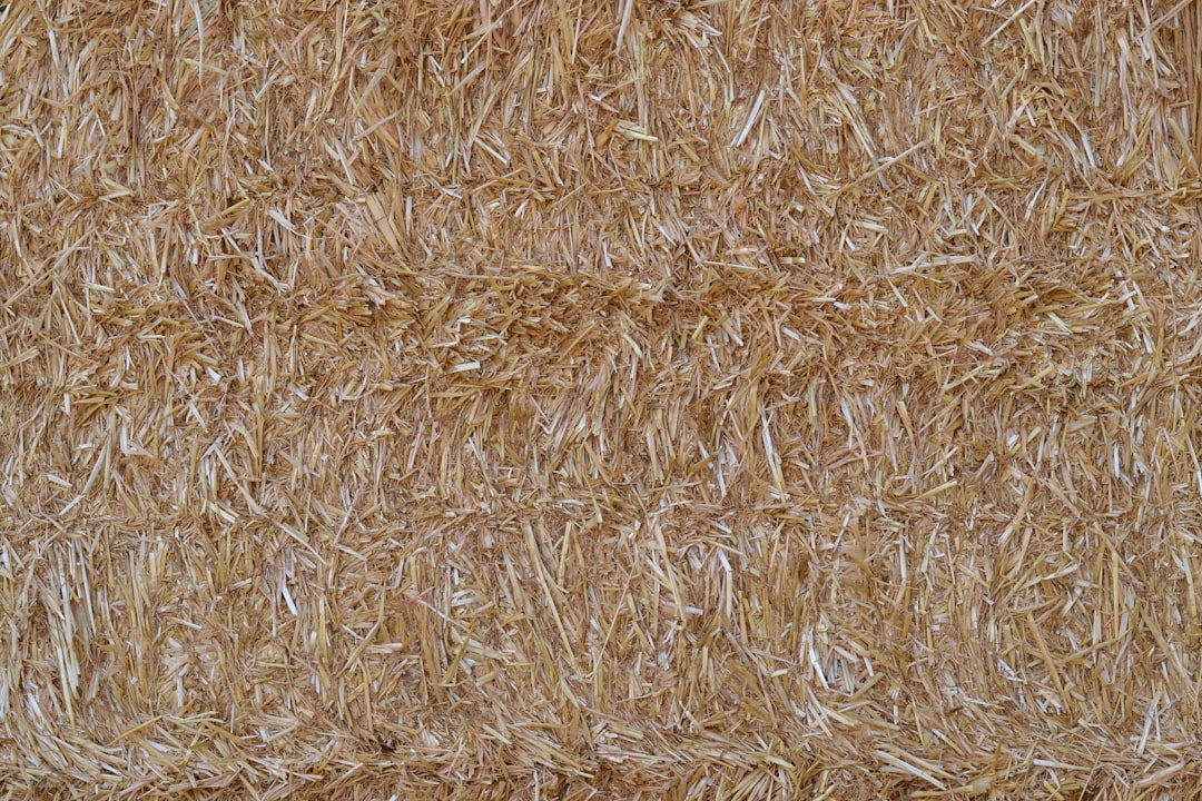 چرا جنس الیاف فرش مهم است؟